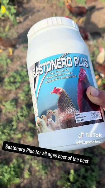 Cómo desparacitar fácilmente estags y pullets
