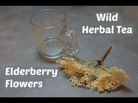 How to make elderberry flower tea