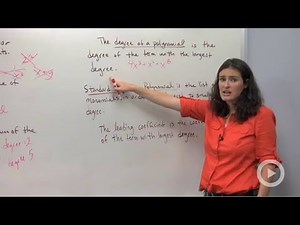 Polynomial Vocabulary