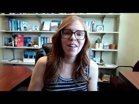 What LMS Does the Online Program Use?