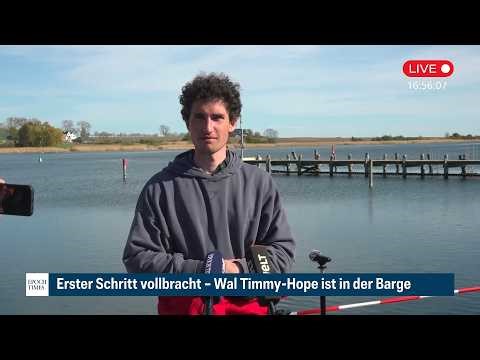 „Der erste Schritt war ein Zufall“: Felix Bohnsack über geglückte Rettungsaktion für Wal Timmy-Hope