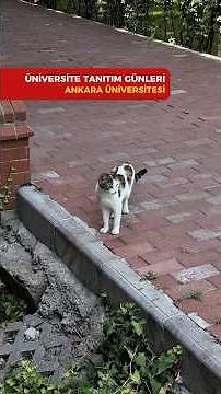 University Promotion Days - Ankara University