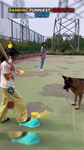 Ranking Funniest Situation Draw P6