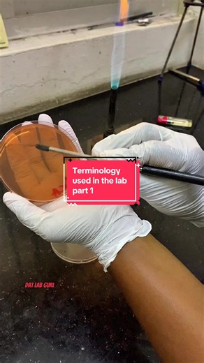 Laboratory Terminology Explained: Streaking, Incubation, Centrifugation