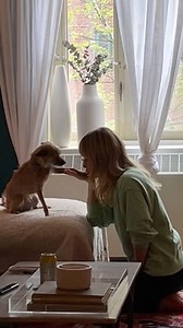 13K views · 21 reactions | Rosebud Baker on Reels | Facebook