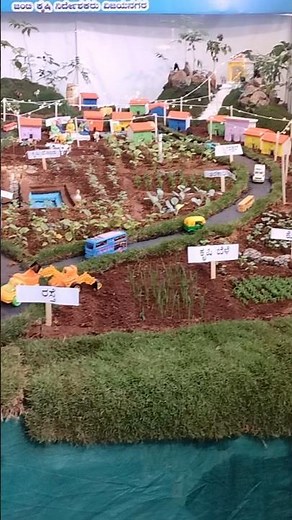 Hampi Utsav: A Festival of Ancient Wonders#1millionviews