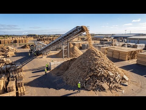 Inside a Recycled Wood Factory: How Wood Waste Is Transformed Into MDF Boards (Complete Process)