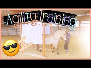 🤘🏼 Agility Training (Parcours für unsere Norweger) // Blondis auf Fjordis ✅