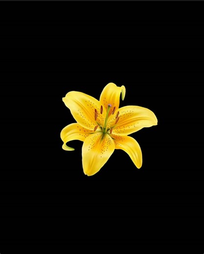 Be My Lover - Labouche Lyrics Explained