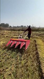 dhaan kaatne ki machine 🌾 kamco ripar machine #reapermachine #farmers #agriculture #farmlife