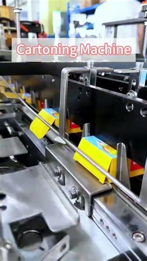 Cartoning Machine | Automatic Carton Packaging Solution