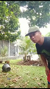 Bercocok tanam | Doris Lusandi