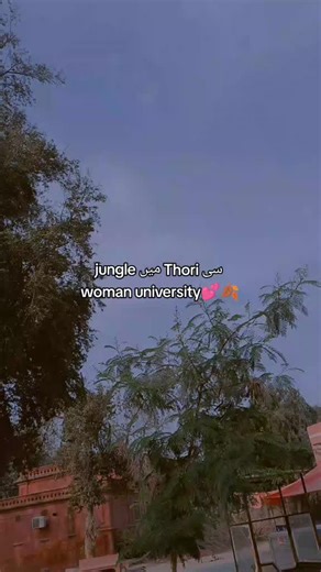 Woman University: Exploring New Heights 🌸