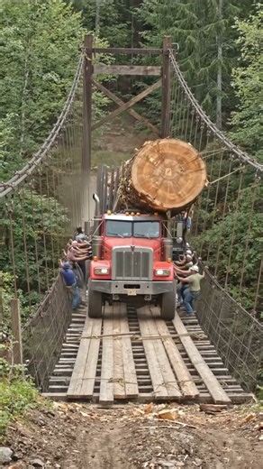 Giant Log Truck Crosses a Swaying Suspension Bridge! #truck #offroad #shorts