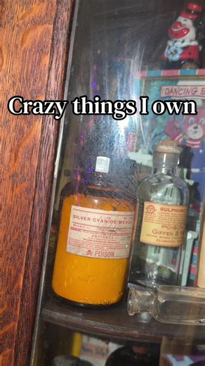 Explore My Collection of Unique Antiques and Oddities