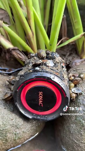 SonacSpeaker on TikTok