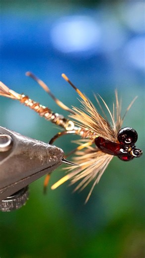Seve Garza on Instagram: "The Articulating Nymph fly that I have been tinkering with over the last two weeks put in some work over the weekend on a handful of small bass and sunfish in East Texas and on the Austin Green Belt. I have always felt that the tiny articulated micro segments used for most micro game changers and other small segmented flies was too small for my sausage fingers so the size 8 Aberdeen hook from @cabelas seems like the logical substitute. Materials: 🪝: @ownerhooks Size 6