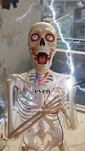 5 Levels of Electric Shock: Which One is Deadly? ⚠️#whatif #shorts