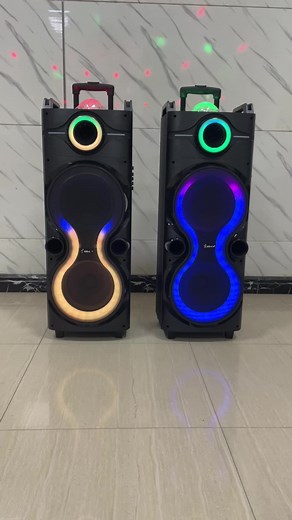 Double 10 Inch Bluetooth Speakers for Party Use