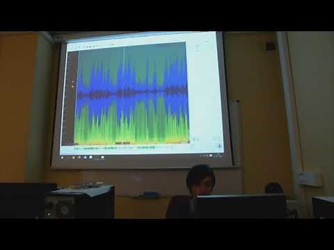Taller avanzado de Sonic Visualiser (Ana Llorens) - Completo