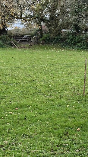 Surprise visitor at the fields today #wildlife | Tracy Harris