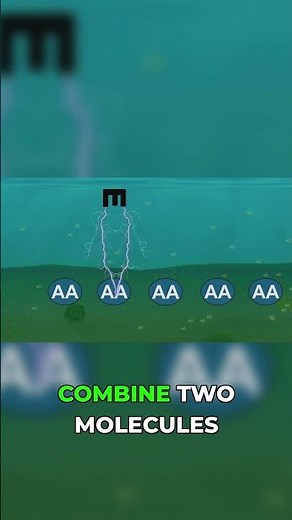 Everything You Need To Know About Enzymes #science #education #biology