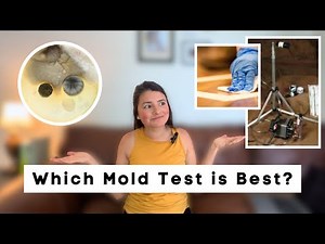 Which MOLD TEST should you use to test your home? ERMI, Air Sampling, & Test Plates
