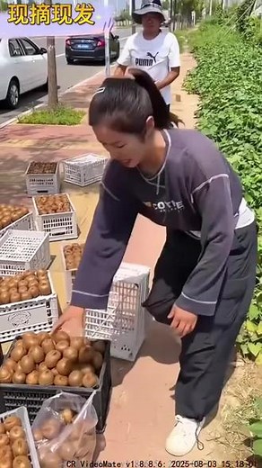 头茬绿心猕猴桃现摘猕胡桃新鲜应季水果奇异果5斤酸甜可口