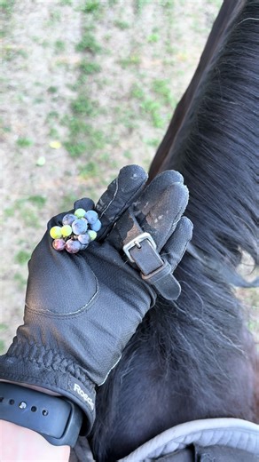 Wild grapes on my wild ride 🍇🐴#trail #summer #dressage #greenway #trainer