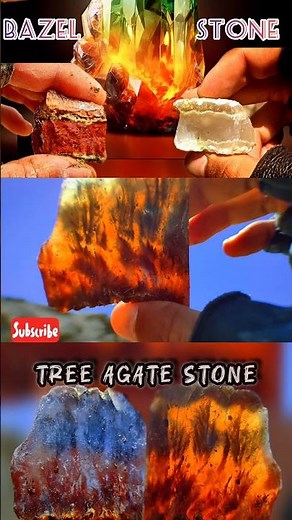 stone tree Agate: Composition, Properties and Uses
