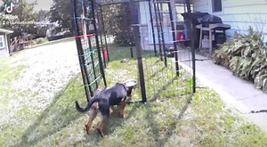 92K views · 1.4K reactions | Six days of trying everything possible...