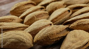 Almond nut in shell and shelled