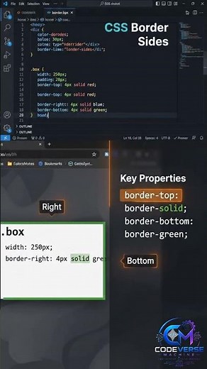 CSS Border Sides Explained | border-top, border-right, border-bottom & border-left | CSS Tutorial