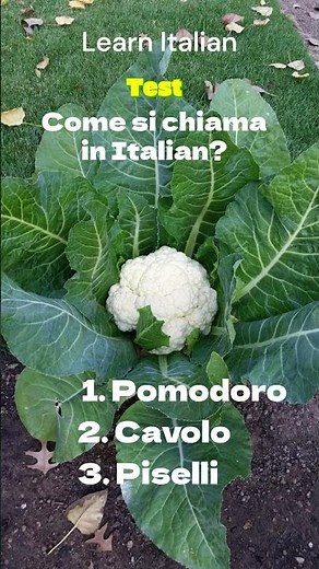 Basic Italian | Easy way to learn Italian Language | Italian lesson For beginners #learnitalia