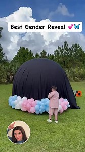 15K views · 75 reactions | Best gender reveal I've seen #genderrevealparty #genderreveslideas #genderparty | Sandra's Party Ideas | Facebook