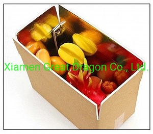 [Hot Item] Temperature Controlled Box Aluminium Foil Insulation Cartons (APC003)