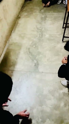 Stationary Wave Demo #trending #school #physics #wave #stationarywave #hcverma #cbse #class11physics