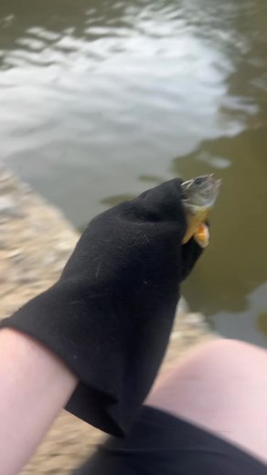 Krxnic (@bunz4dayz123)’s videos with original sound - Krxnic