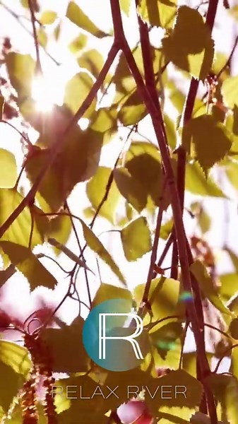 Shirodara meditative treatment - Thai massage #therapy #spa #relaxingmusic #bathing