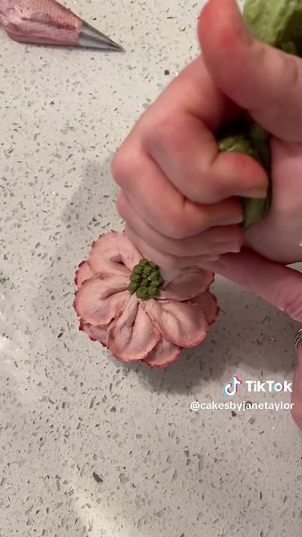 Learn How to Pipe Buttercream Flowers with Me! Cake Decorating Tips