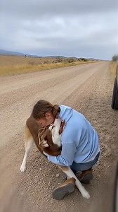 Dog Survives Car Crash and Finds His Way Back 💝 | Paws for Effect