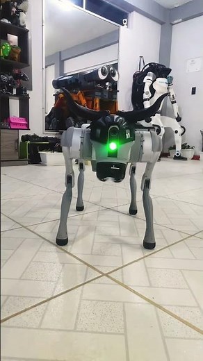 Unitree Go2 PRO Robotic Dog