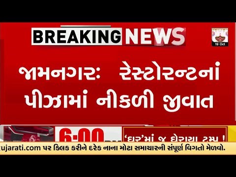 Jamnagar: Customer Finds Cockroach in Pizza at Pomos Restaurant | TV9Gujarati