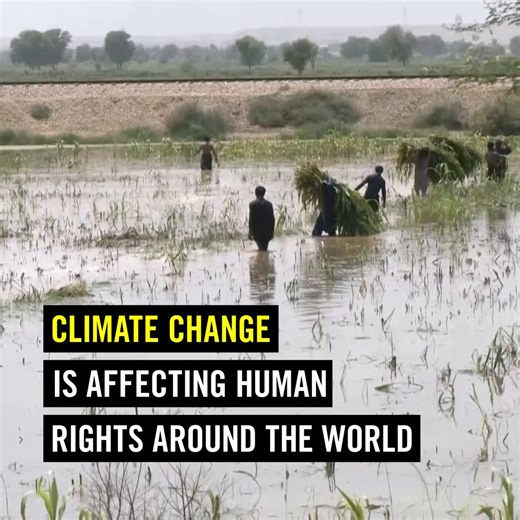 2.9K views · 182 reactions | Climate change is affecting human rights all around the world. Moments like this are a warning of how quickly the planet is changing. The climate crisis cannot continue to be an afterthought. | Amnesty International | Facebook