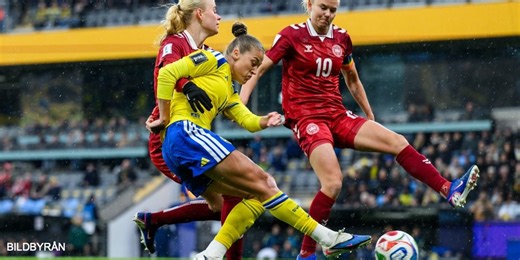 Tre punkter från VM-kval Sverige - Danmark: ”Ser lovande ut”
