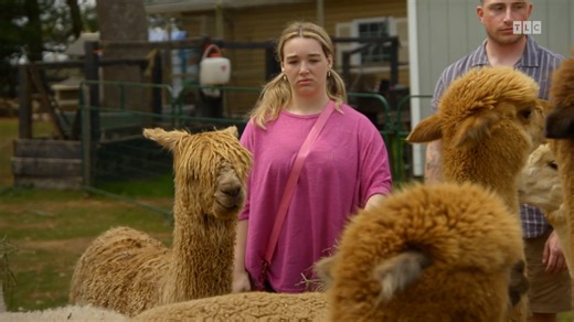 68K views · 1.2K reactions | "Baylen Out Loud" SNEAK PEEK: Baylen wants alpacas at her wedding! 蓮 Don't miss the Season 2 premiere on Tuesday, Oct. 7 at 9pm ET/PT on TLC! | Extra | Facebook