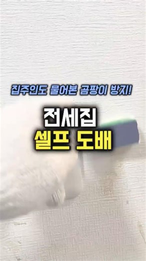 📌콩츄 채널명을 클릭후 프로필링크에서 [162]번을 확인해주세요💗 #인테리어템 #복구템 #도배템 #꿀팁 #살림템