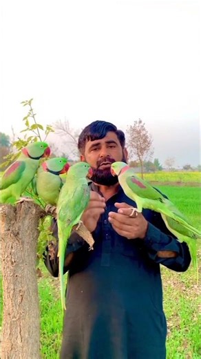 Secret Parrot Tips in the Jungle 🦜 | Natural Training & Care