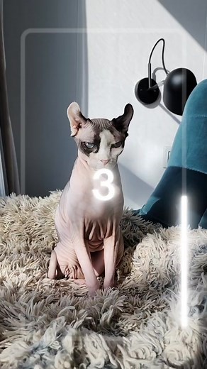 Exploring Bug's Barbie World: Stella Leaks Revealed