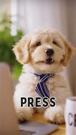 My puppy became CEO… and you won't believe the emails #CEO #dog #shorts